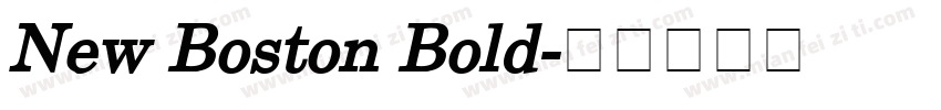 New Boston Bold字体转换